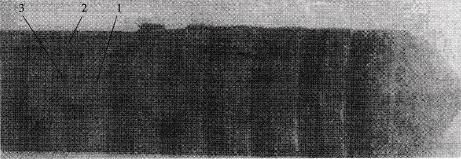 卡爪整體淬火后開裂的宏觀狀況及取樣位置